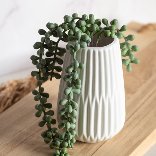 Sedum hangtak