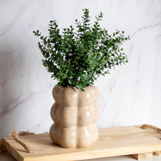 Buxus tak