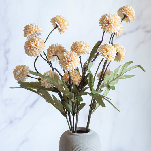 Pompom tak