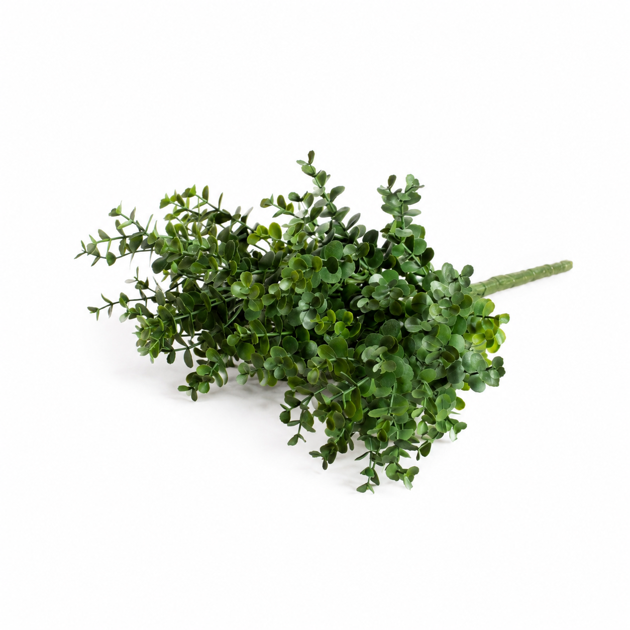 Groene decoratieve tak met kleine blaadjes (buxus)