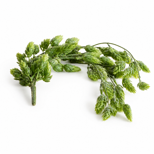 Decoratieve tak met kleine groene hopachtige bloemetjes