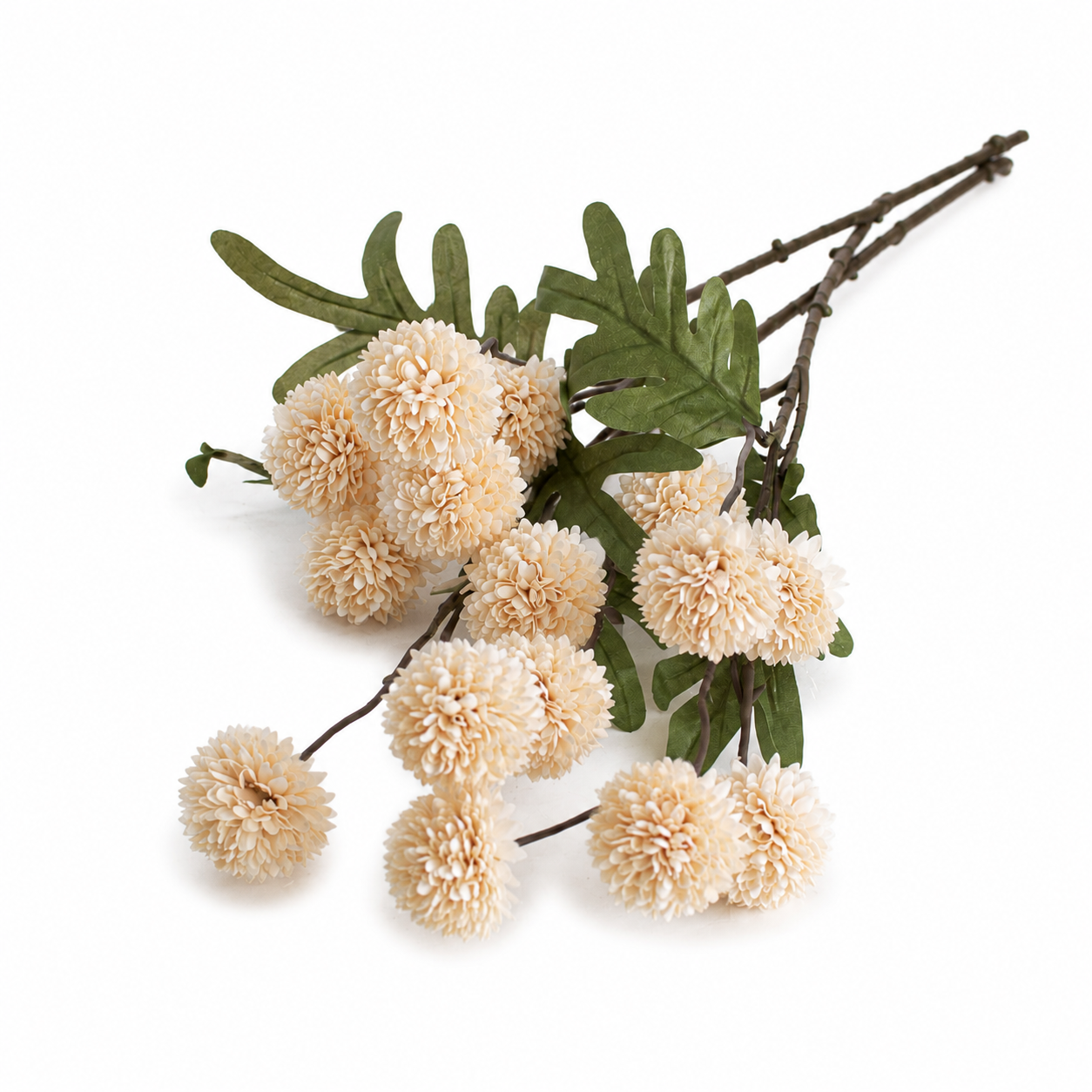 Decoratieve tak met beige pomponbloemen