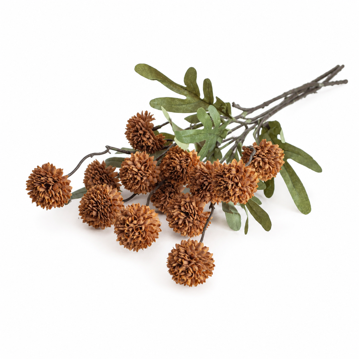 Decoratieve tak met bruine pomponbloemen