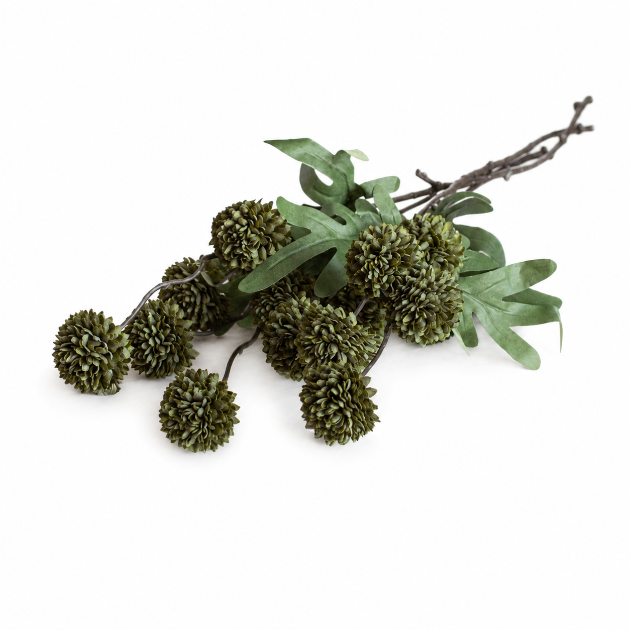 Decoratieve tak met groene pomponbloemen