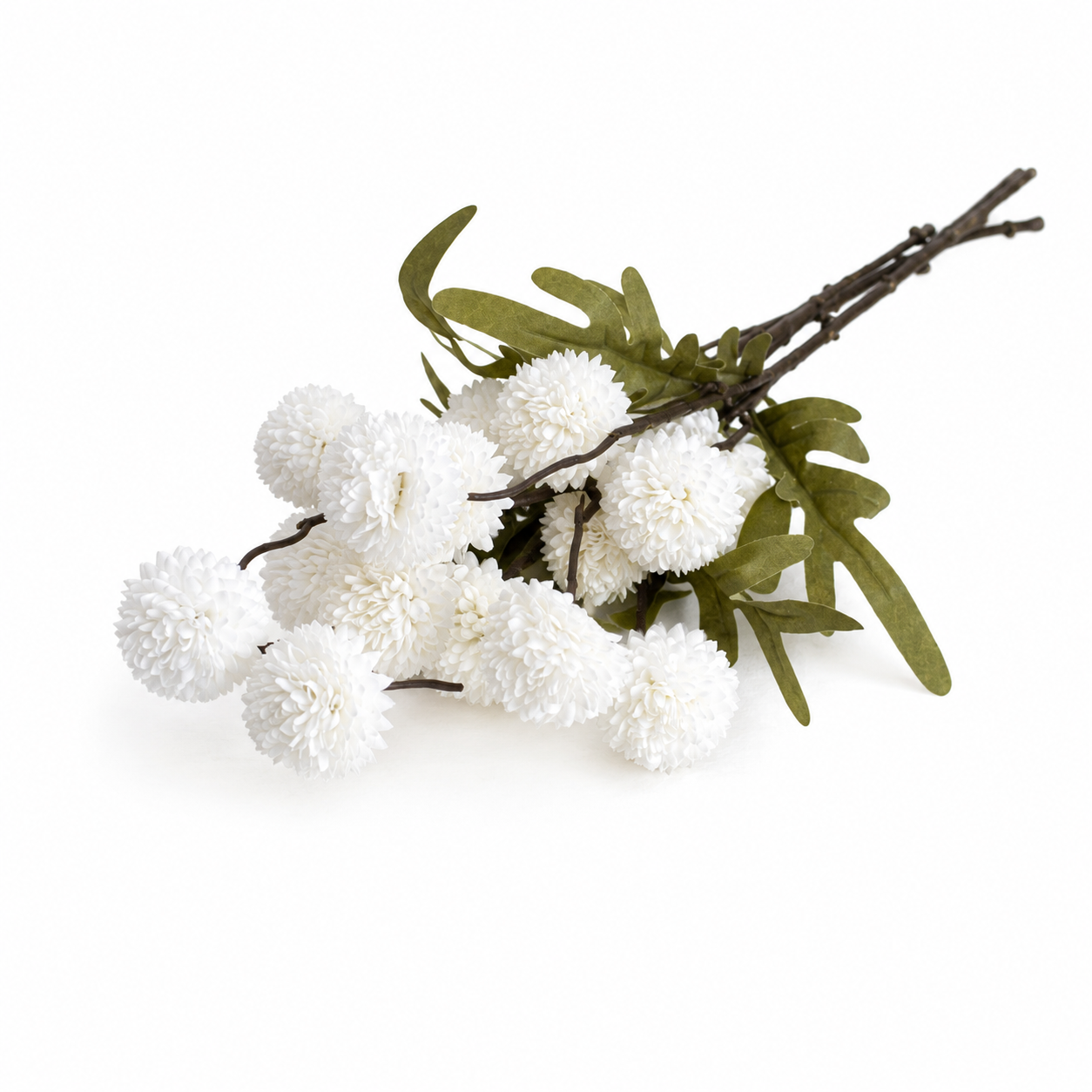 Decoratieve tak met witte pomponbloemen