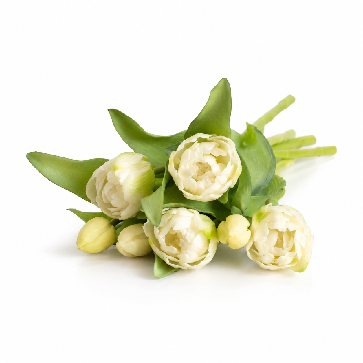 Decoratieve tak met gesloten tulpenknoppen